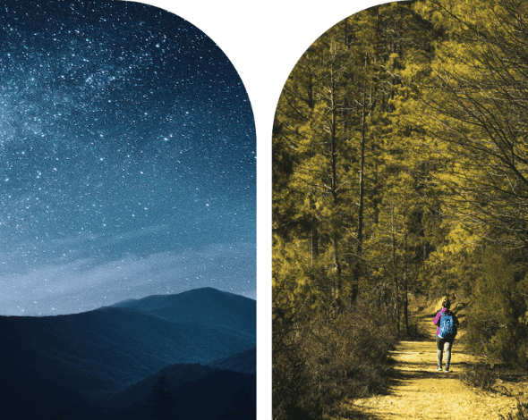 Bookmark Resorts